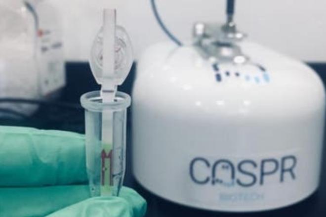 La rapidez de la identificaci&oacute;n 