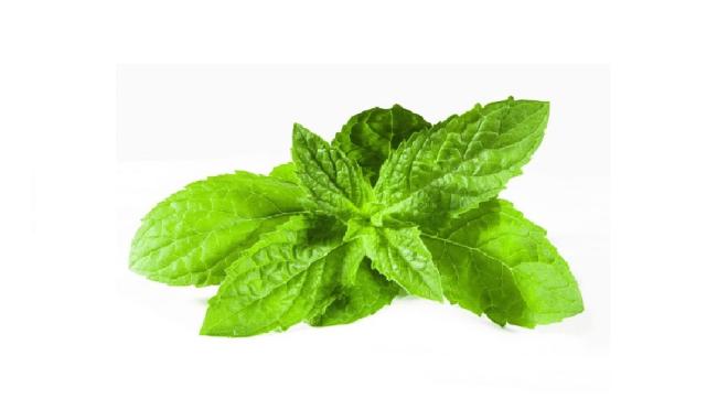 Bagno caldo con foglie di menta