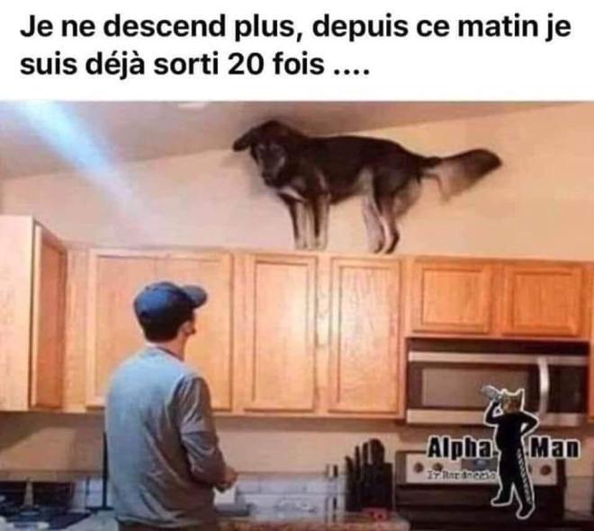 RIRE ET FAIRE RIRE LES AUTRES