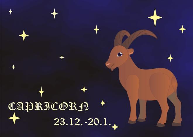 Capricorno in carriera