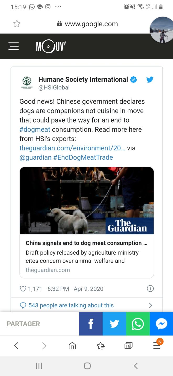 Une chauve-souris et un pangolin