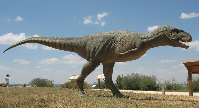 Abelissauro (Abelisaurus comahuensis)