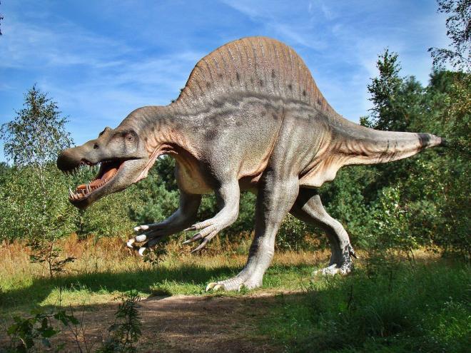 Espinossauro (Spinosaurus aegyptiacus)
