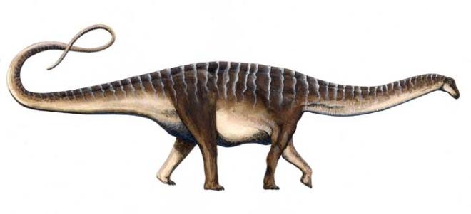 Amazonsaurus maranhensis