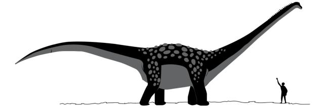 Antarctosaurus brasiliensis
