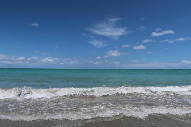 Praia dos Carneiros - Pernambuco