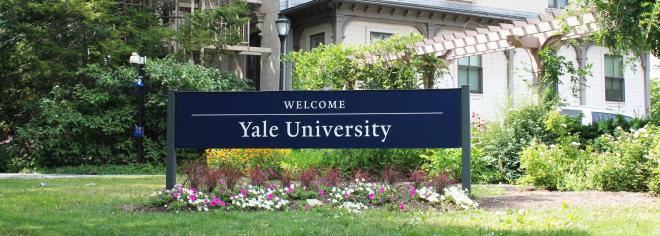 &Egrave; laureata all'Universit&agrave; di Yale