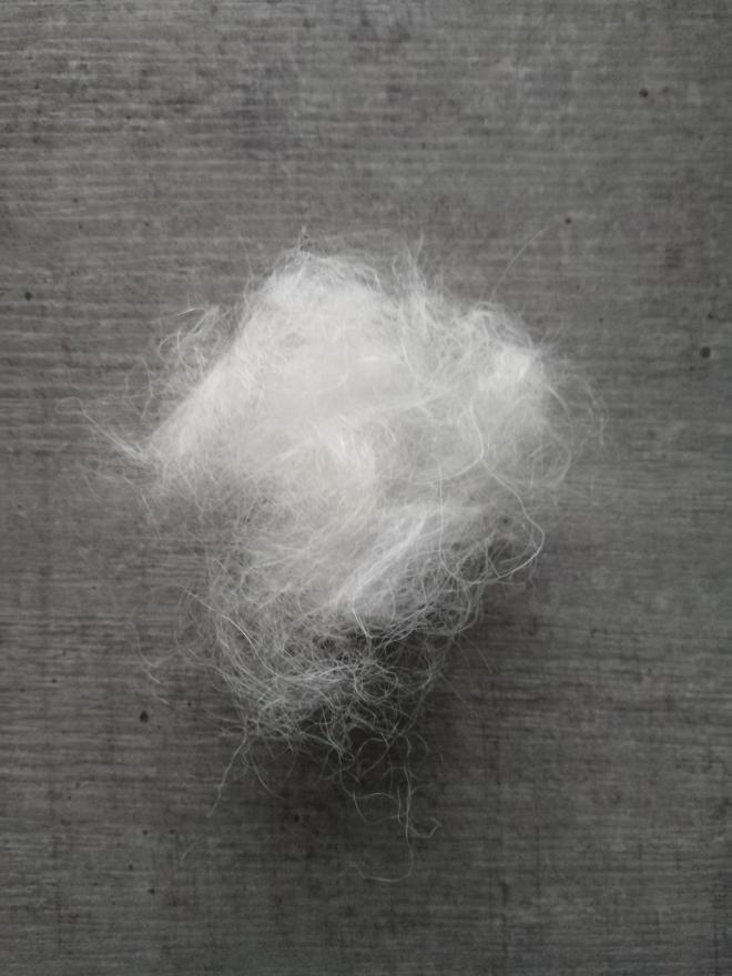 Les causes digestives