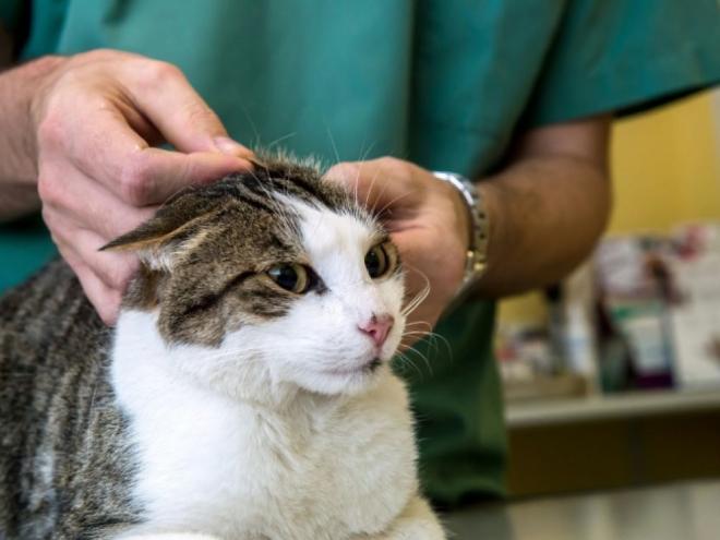 N'attendez pas plus de 24h pour consulter