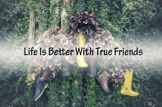 De Francesco Alberoni / L&rsquo;Amiti&eacute;