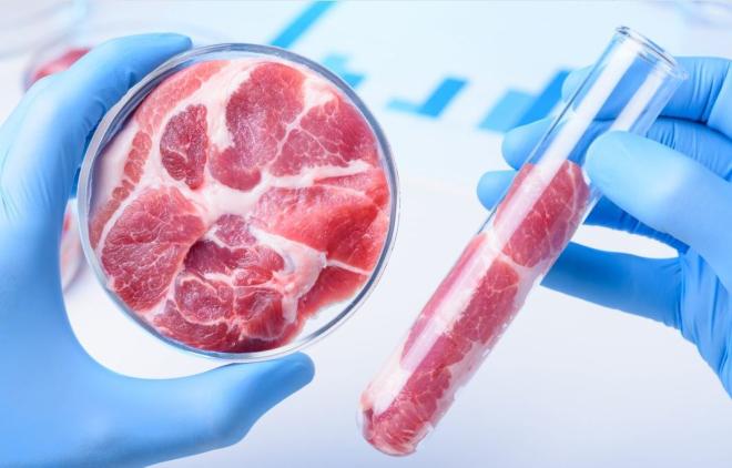 La viande in vitro
