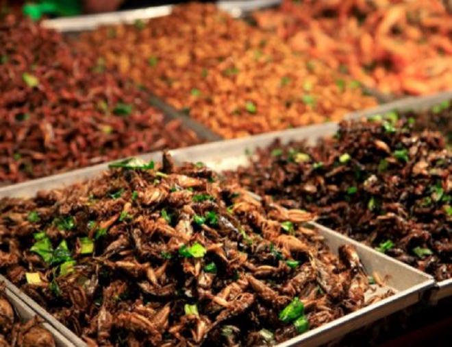 Les insectes : &eacute;cologiques et riches en prot&eacute;ine sont d&eacute;j&agrave; pr&eacute;sents en Asie