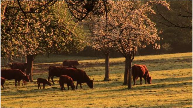 Prise de conscience du bien commun - projection dans l'avenir