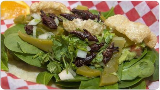 ENTREE : salade d'insectes et de ch&egrave;vre chaud