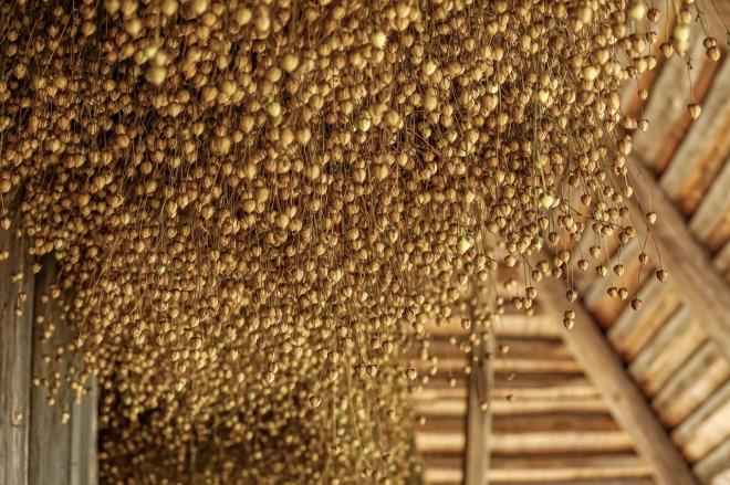 Linha&ccedil;a pela hidrata&ccedil;&atilde;o