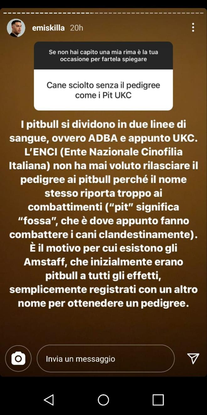 "Cane sciolto senza il pedigree come i Pit in UKC"