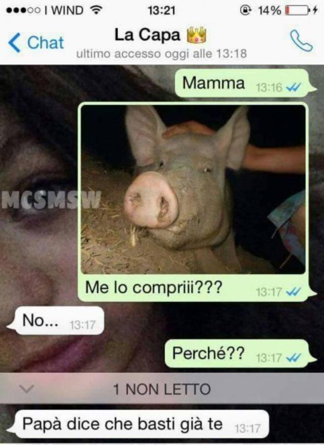 Familiari che si stuzzicano