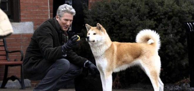 Hachiko - Il tuo migliore amico (2009)