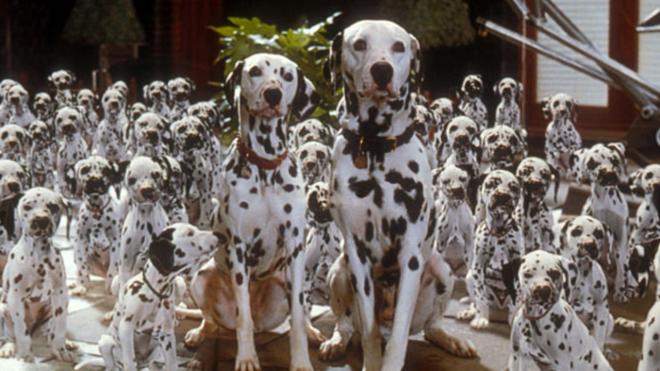 La carica dei 101 - Questa volta la magia &egrave; vera (1996)