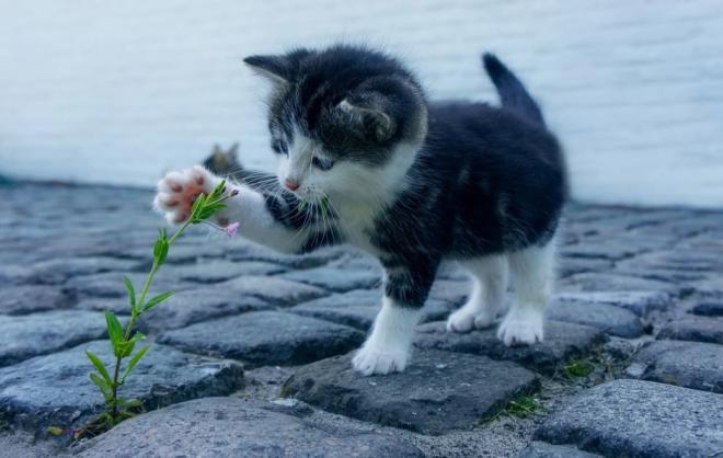 Cuidados com a higiene