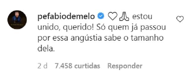 Padre F&aacute;bio de Mello