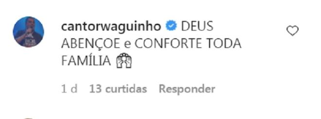 Cantor Waguinho