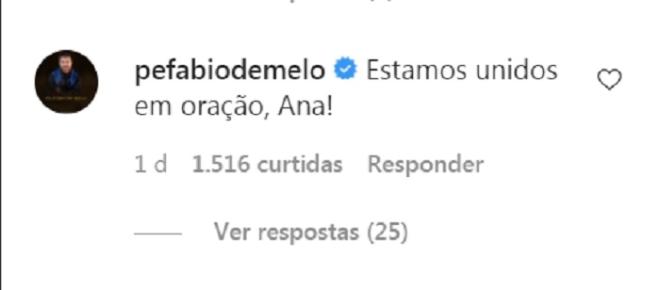 Padre F&aacute;bio de Melo