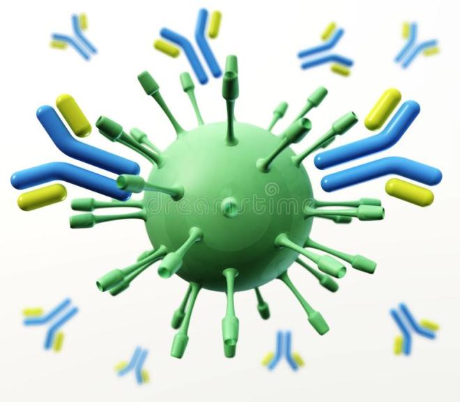 Vaccino e immunoglobuline: la siero-vaccinoprofilassi