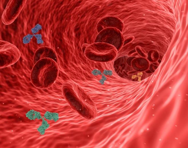 I vaccini sono un valido strumento di immunoprofilassi attiva