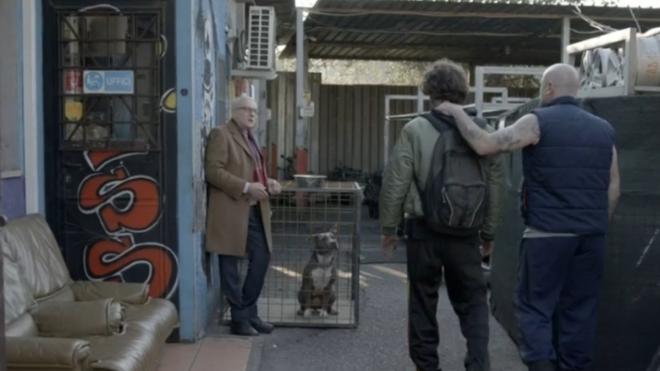 Il cane di Sbarra nella realt&agrave; si chiama Ciccio