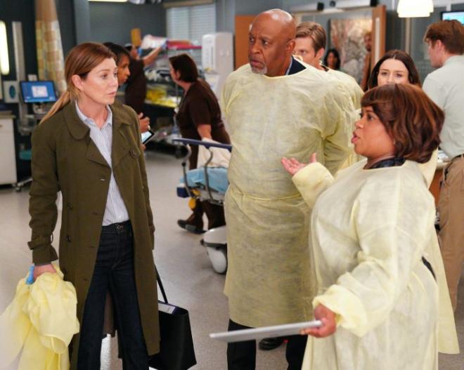 Dal cast originale del 2005 sono rimasti solo Meredith, Richard e Miranda