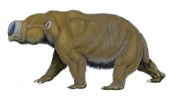 Vi vennero trovati resti di animali giganteschi