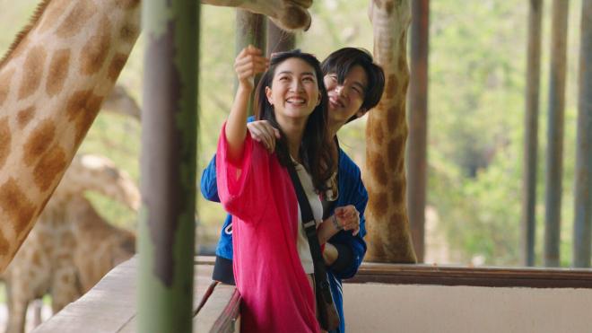 "I need romance" (2021)