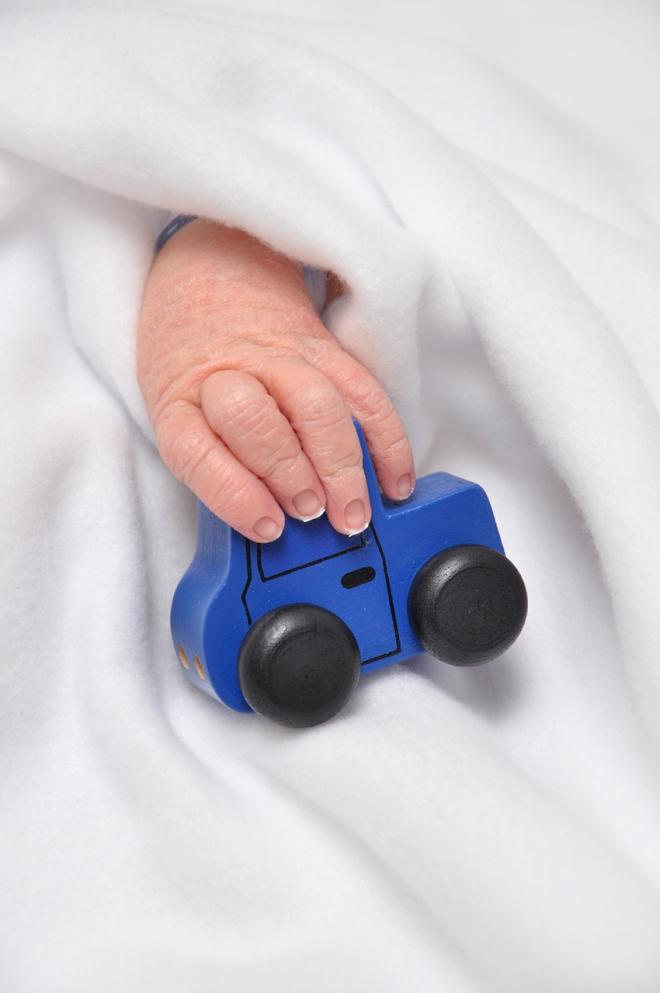 No dejar a los ni&ntilde;os o mascotas en el interior del coche