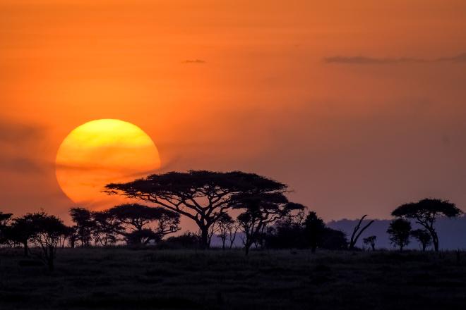 Il Parco Nazionale del Serengeti, Tanzania