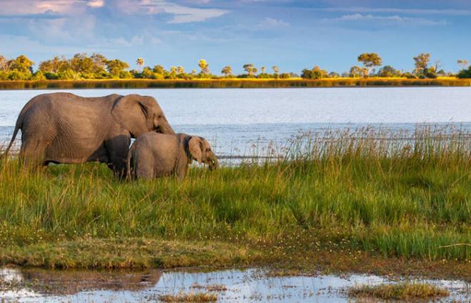 Il Parco del Delta dell'Okavango, Botswana