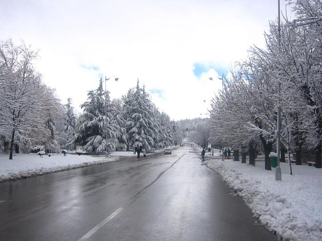 Ifrane, "a Su&iacute;&ccedil;a marroquina"