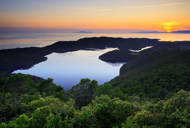 Bosque na ilha de Mljet