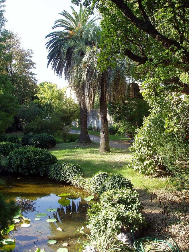 Jardim Bot&acirc;nico de Campinas