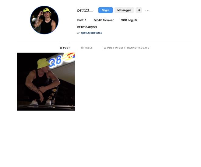 Qual &egrave; il profilo Instagram di Petit?