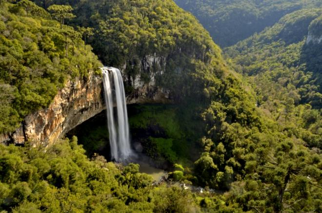 Canela - Serra Ga&uacute;cha