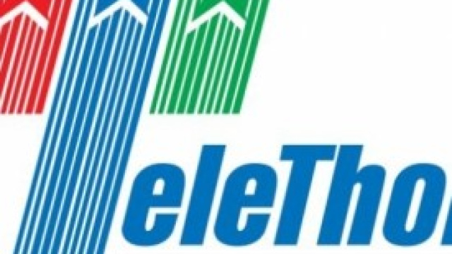 Telethon 2013: i numeri per donare