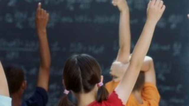 Pas scuola, ex Tfa speciale