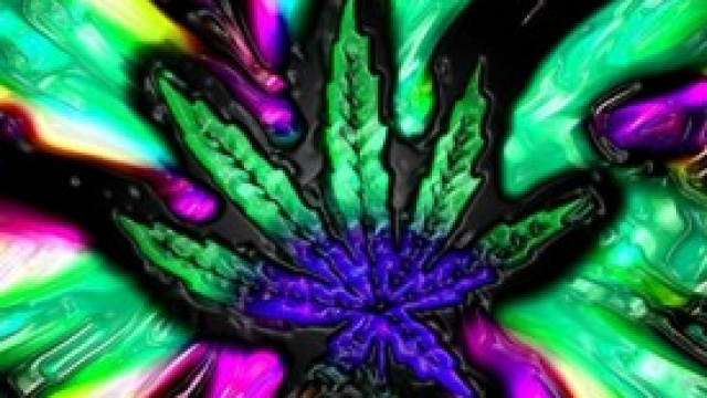 Marijuana legale in Uruguay 