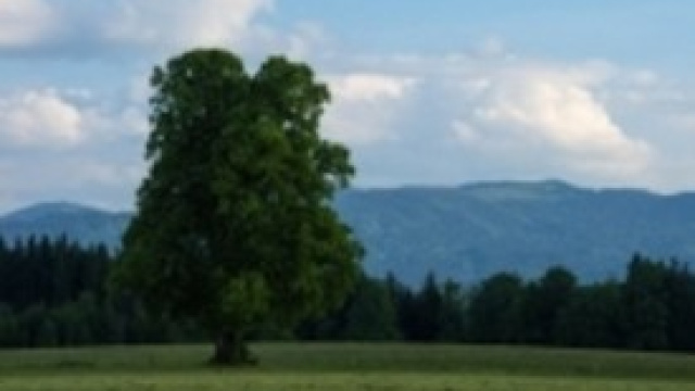 Scoperto un nuovo gas serra: si chiama Pbfta