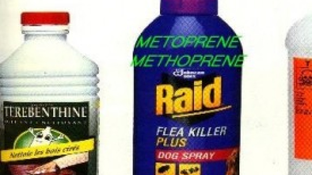 Sostanze cancerogene: conoscerle ed evitarle