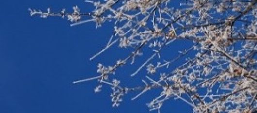 news-image