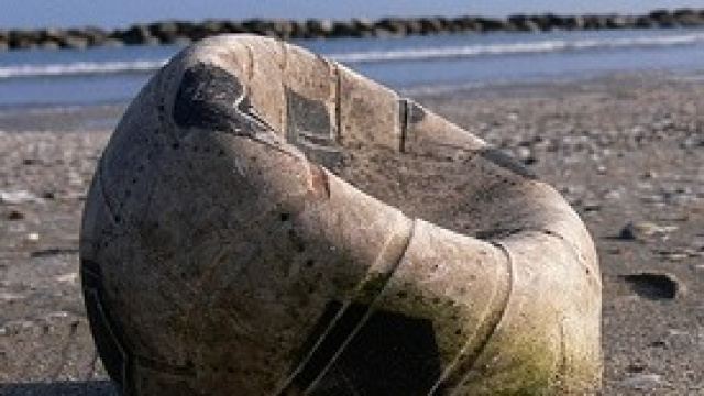 Moggi condannato: la sentenza di appello