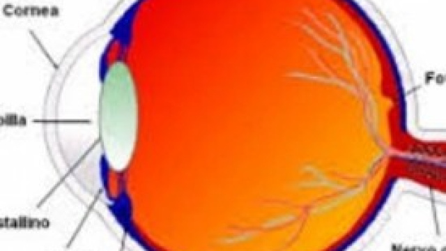 lfoto delle patologie dell'occhio