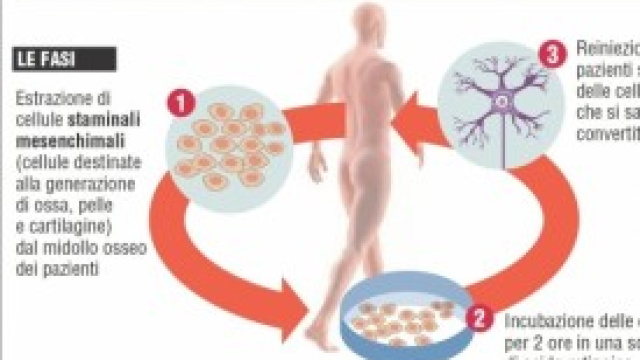 Il Metodo Stamina &egrave; una truffa?